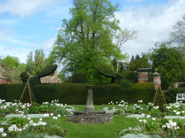 White garden and topiary
